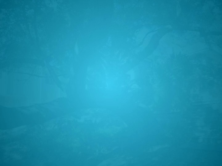 29421 Modjeska Canyon Rd